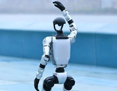 人形機器人產業迎來爆發期，宇樹科技啟動IPO引領行業新浪潮