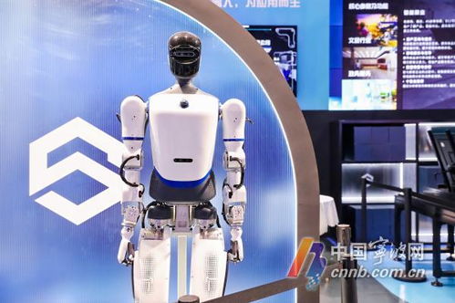 機器人生活秀 數量超60款，數貿會展現科技專業(yè)新圖景